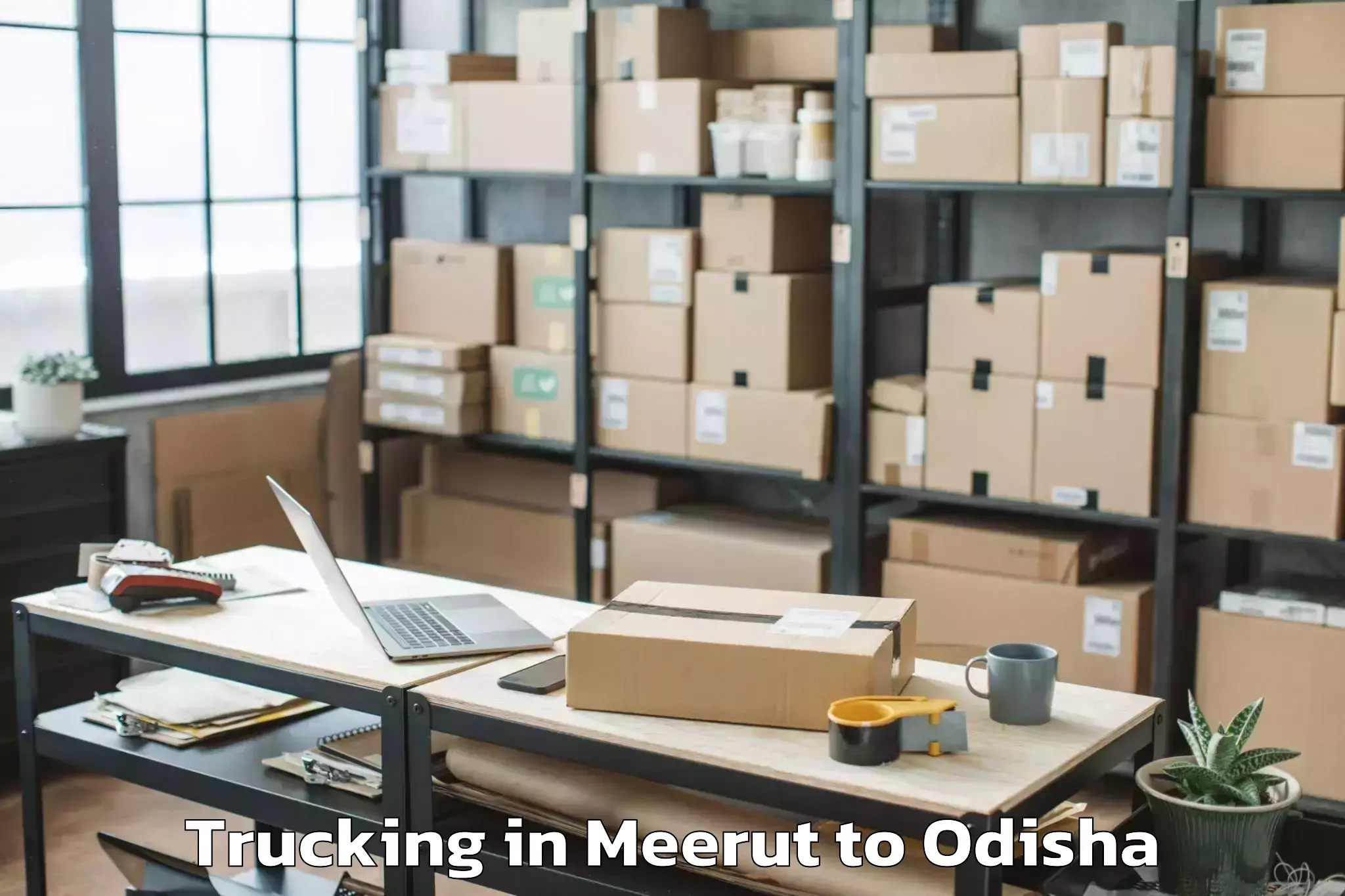 Leading Meerut to Pallahara Trucking Provider